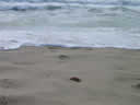 Tivola's Welt - Bildergalerie Sommerurlaub in Frankreich am Atlantik 2004 