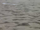 Tivola's Welt - Bildergalerie Sommerurlaub in Frankreich am Atlantik 2004 
