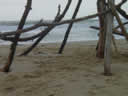 Tivola's Welt - Bildergalerie Sommerurlaub in Frankreich am Atlantik 2004 