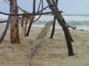 Tivola's Welt - Bildergalerie Sommerurlaub in Frankreich am Atlantik 2004 