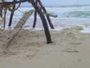 Tivola's Welt - Bildergalerie Sommerurlaub in Frankreich am Atlantik 2004 