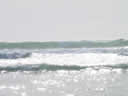 Tivola's Welt - Bildergalerie Sommerurlaub in Frankreich am Atlantik 2004 