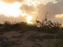 Tivola's Welt - Bildergalerie Sommerurlaub in Frankreich am Atlantik 2004 