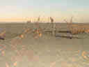 Tivola's Welt - Bildergalerie Sommerurlaub in Frankreich am Atlantik 2004 