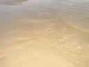 Tivola's Welt - Bildergalerie Sommerurlaub in Frankreich am Atlantik 2004 